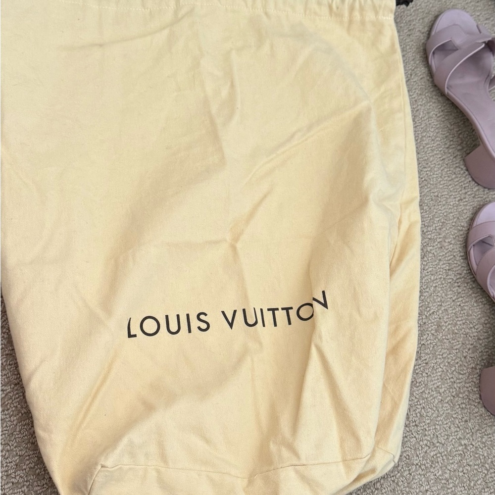 Louis Vuitton Cream Storage Bag